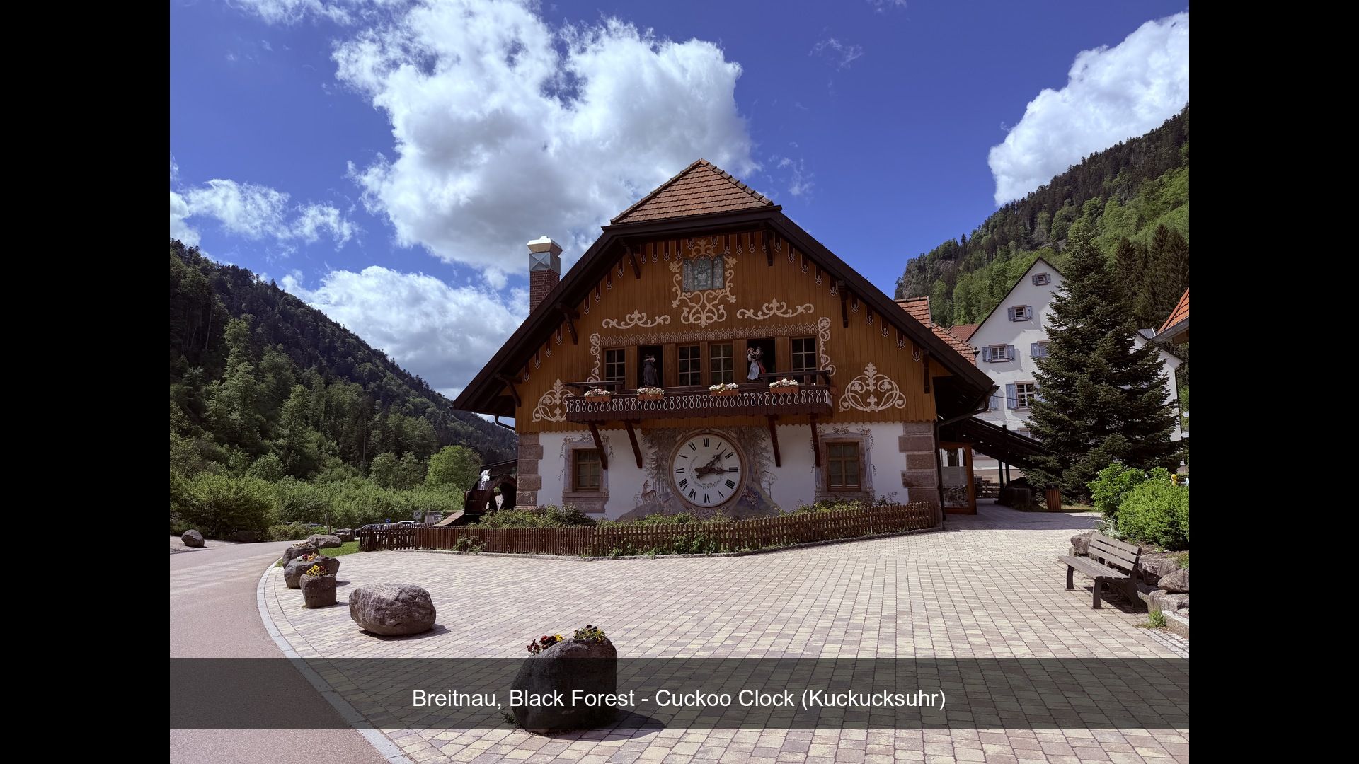 2026-05-12_IMG_4605_Cuckoo_Clock_(K.jpg