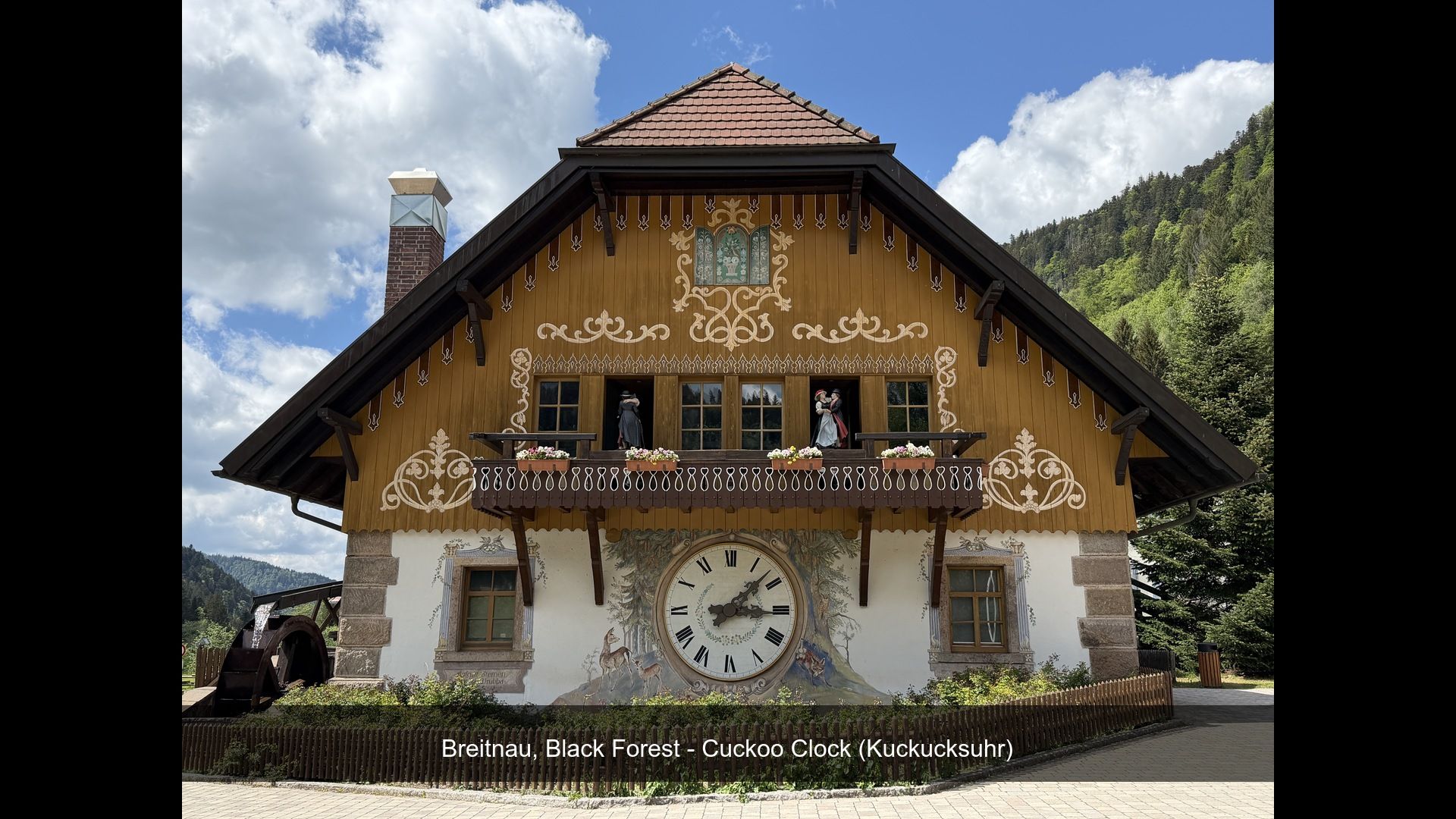 2026-05-12_IMG_4606_Cuckoo_Clock_(K.jpg