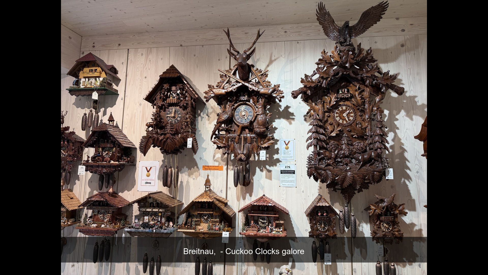 2026-05-12_IMG_4621_Cuckoo_Clocks_g.jpg
