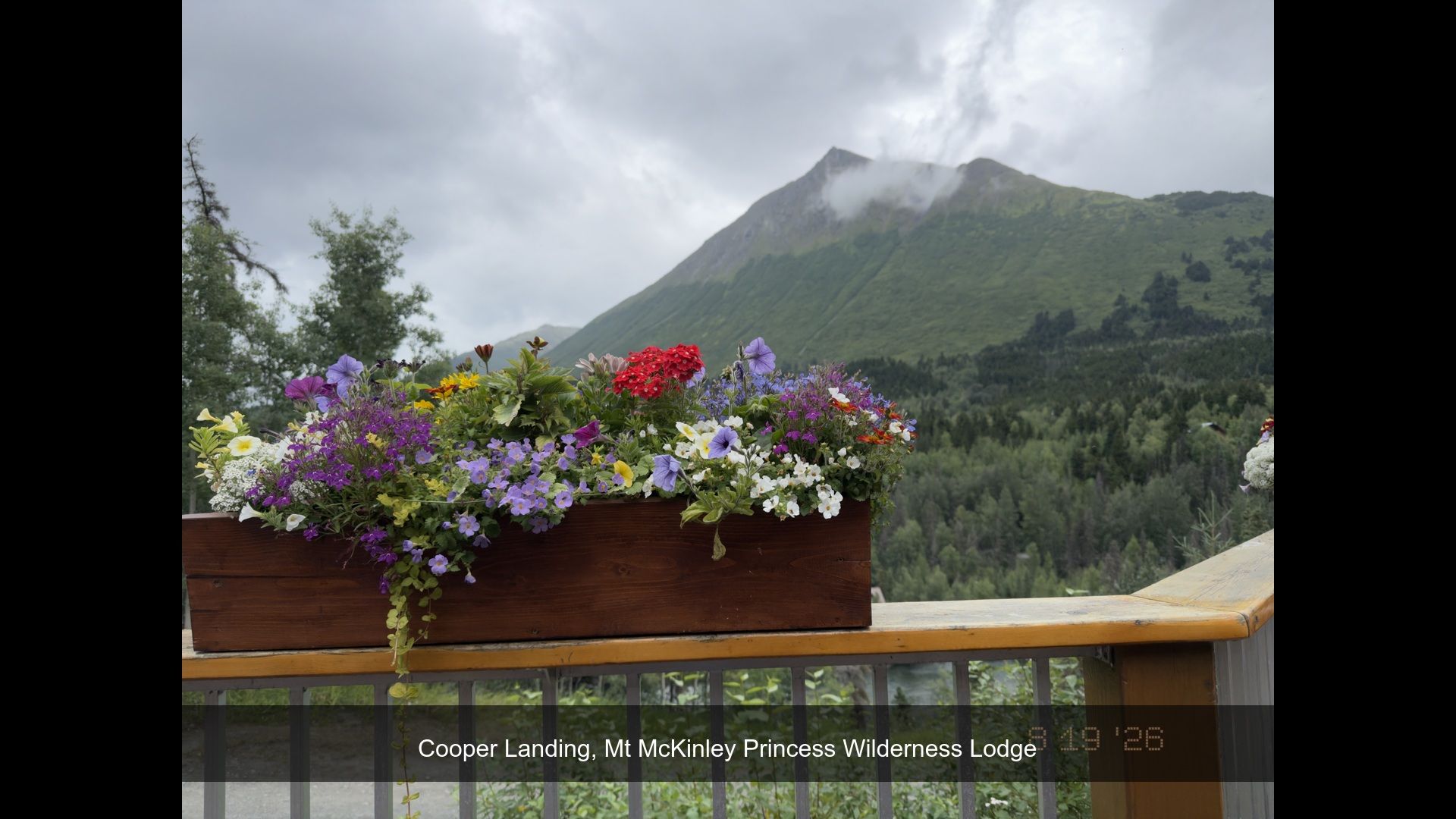 2026-08-19_170455_Mt_McKinley_Pri.jpg
