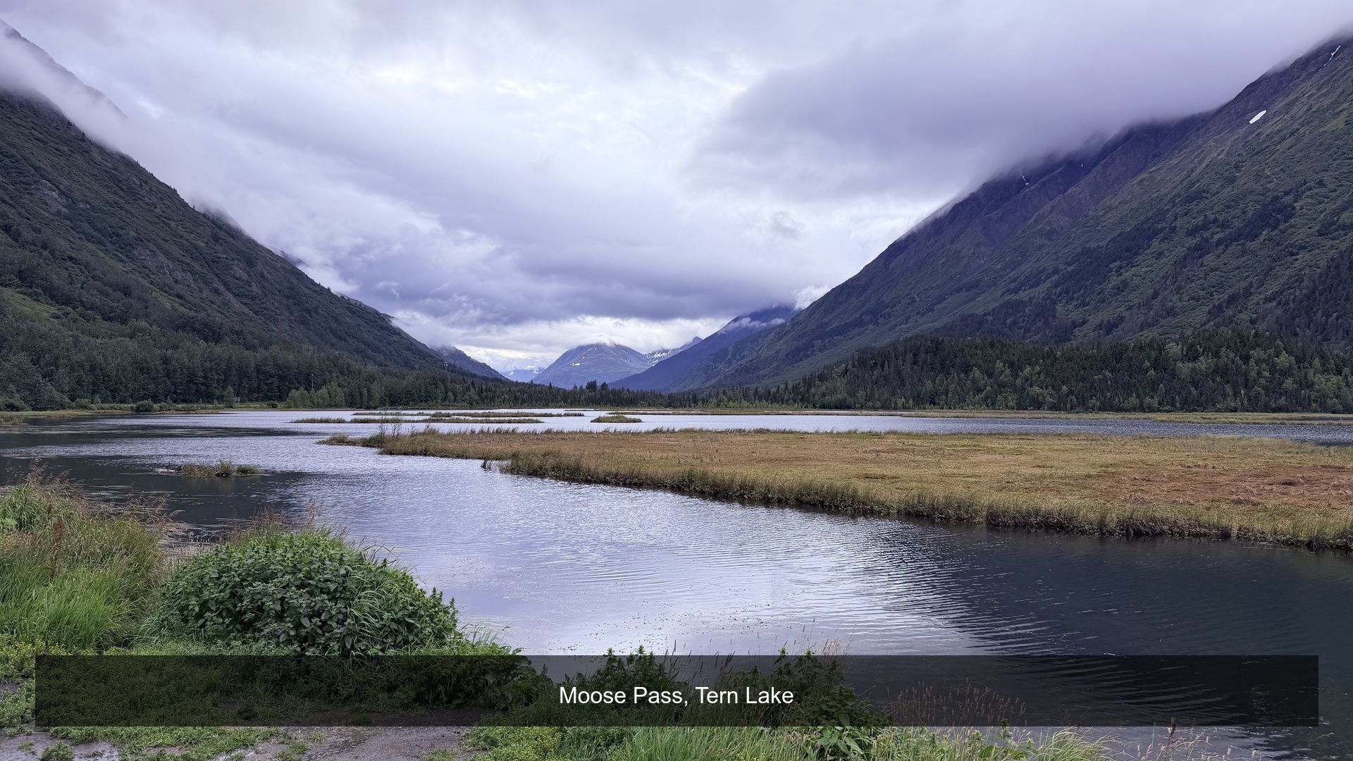 2026-08-20_091017_Tern_Lake.jpg
