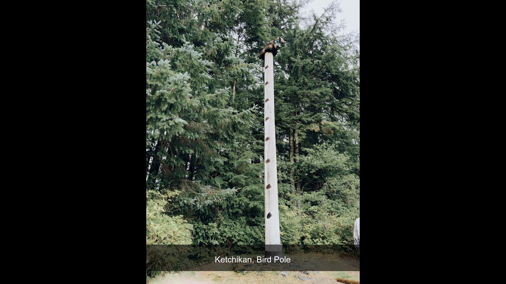 2026-08-27_101837_Bird_Pole.jpg