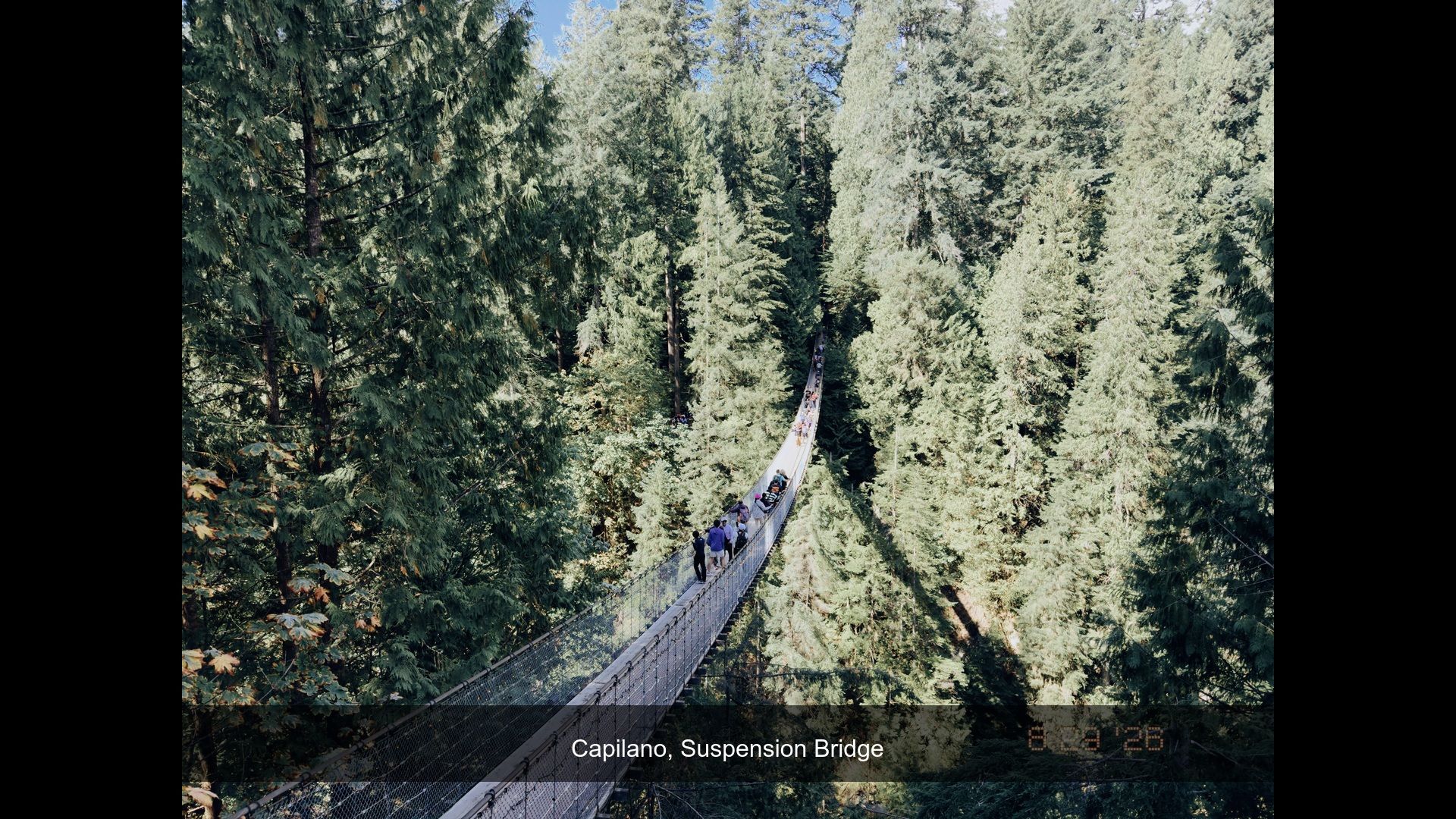 2026-08-29_120730_Suspension_Brid.jpg